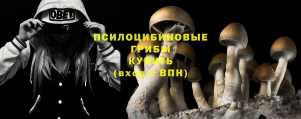 прущий лед Кодинск