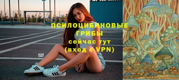 прущий лед Кодинск