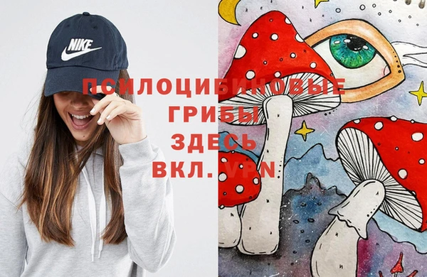 метамфетамин Козельск