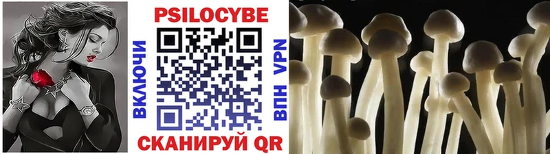 блэк спрут вход Мелеуз Галлюциногенные грибы Cubensis