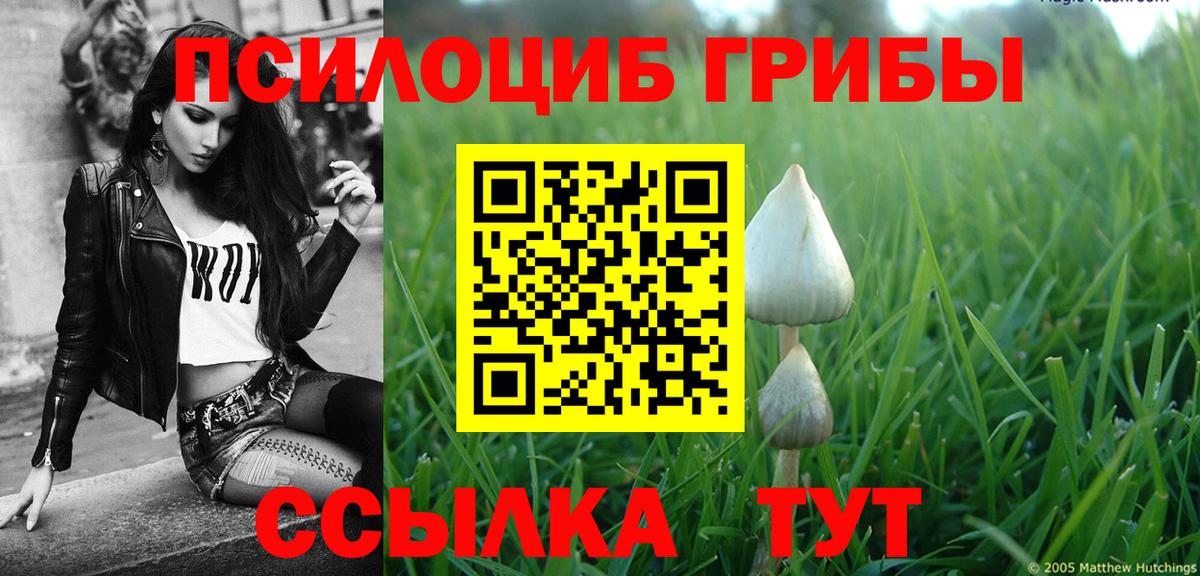 Галлюциногенные грибы мицелий Мелеуз